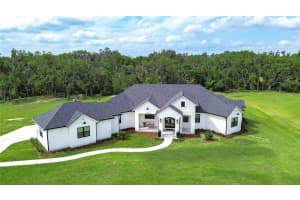 111 ALAFIA ESTATES LANE, LITHIA, FL 33547 - MLS#MFRTB8480118