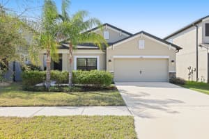 11421 Amapola Bloom Ct, RIVERVIEW