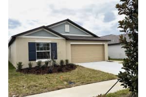 2318 ALLIUM ROSEUM LANE, PLANT CITY, FL 33565 - MLS#MFRTB8480143