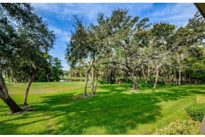 36750 US HIGHWAY 19 N #2177, PALM HARBOR, FL 34684 - MLS#MFRTB8480146