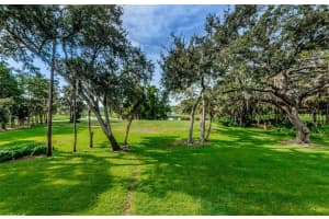 36750 US HIGHWAY 19 N #2177, PALM HARBOR, FL 34684 - MLS#MFRTB8480146