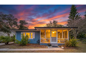 1256 NEW YORK AVENUE, DUNEDIN, FL 34698 - MLS#MFRTB8480151