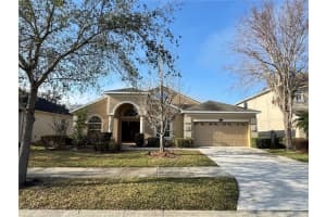 10756 Breaking Rocks Dr, TAMPA