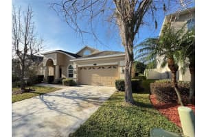 10756 BREAKING ROCKS DRIVE, TAMPA, FL 33647 - MLS#MFRTB8480160