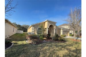 10756 BREAKING ROCKS DRIVE, TAMPA, FL 33647 - MLS#MFRTB8480160