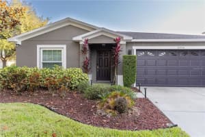 30930 TEMPLE STAND AVENUE, WESLEY CHAPEL, FL 33543 - MLS#MFRTB8480183