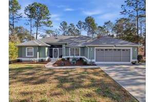 9131 ALPINIA DRIVE, CITRUS SPRINGS, FL 34434 - MLS#MFRTB8480194
