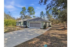 9131 ALPINIA DRIVE, CITRUS SPRINGS, FL 34434 - MLS#MFRTB8480194