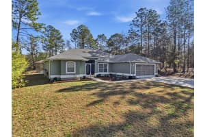 9131 ALPINIA DRIVE, CITRUS SPRINGS, FL 34434 - MLS#MFRTB8480194