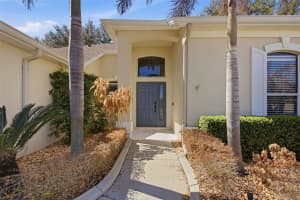 3209 PARTRIDGE POINT TRAIL, VALRICO, FL 33596 - MLS#MFRTB8480200