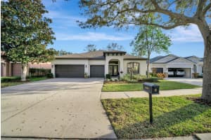 15616 STARLING WATER DRIVE, LITHIA, FL 33547 - MLS#MFRTB8480208