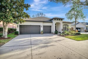 15616 STARLING WATER DRIVE, LITHIA, FL 33547 - MLS#MFRTB8480208