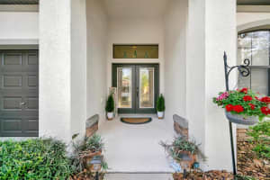 15616 STARLING WATER DRIVE, LITHIA, FL 33547 - MLS#MFRTB8480208