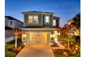 29011 Trevi Pl, WESLEY CHAPEL 29011 Trevi Pl, WESLEY CHAPEL