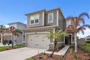 29011 TREVI PLACE, WESLEY CHAPEL, FL 33543 - MLS#MFRTB8480226
