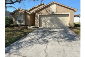 387 Tavernier Cir, OLDSMAR