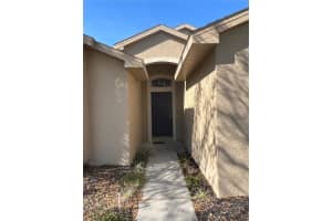 387 TAVERNIER CIRCLE, OLDSMAR, FL 34677 - MLS#MFRTB8480272