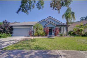 7107 Colonial Lake Dr, RIVERVIEW