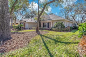 6109 KINGBIRD MANOR DRIVE, LITHIA, FL 33547 - MLS#MFRTB8480298