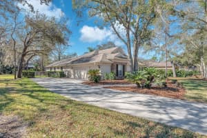 6109 KINGBIRD MANOR DRIVE, LITHIA, FL 33547 - MLS#MFRTB8480298