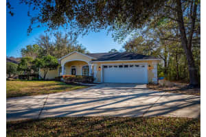 814 Brantenburg Way, LUTZ