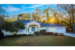 814 BRANTENBURG WAY, LUTZ, FL 33548 - MLS#MFRTB8480308