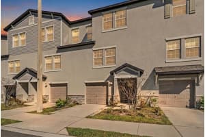 4607 Tuscan Loon Dr, TAMPA 4607 Tuscan Loon Dr, TAMPA