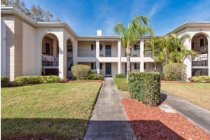 10336 CARROLLWOOD LANE, TAMPA, FL 33618 - MLS#MFRTB8480334