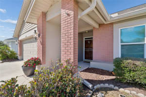 8626 BOYSENBERRY DRIVE, TAMPA, FL 33635 - MLS#MFRTB8480335