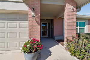 8626 BOYSENBERRY DRIVE, TAMPA, FL 33635 - MLS#MFRTB8480335