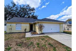 1537 GUNSMITH DRIVE, LUTZ, FL 33559 - MLS#MFRTB8480342