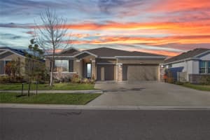 32289 CONCHSHELL SAIL STREET, WESLEY CHAPEL, FL 33545 - MLS#MFRTB8480346