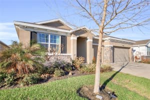 32289 CONCHSHELL SAIL STREET, WESLEY CHAPEL, FL 33545 - MLS#MFRTB8480346