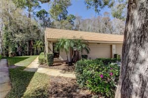 3020 WINDMOOR DRIVE, PALM HARBOR, FL 34685 - MLS#MFRTB8480382