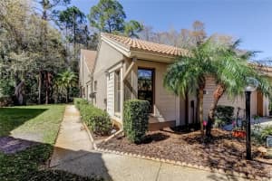 3020 WINDMOOR DRIVE, PALM HARBOR, FL 34685 - MLS#MFRTB8480382