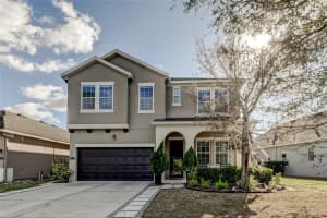 11403 QUIET FOREST DRIVE, TAMPA, FL 33635 - MLS#MFRTB8480409