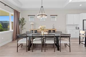 8346 IVY STARK BOULEVARD, WESLEY CHAPEL, FL 33545 - MLS#MFRTB8480410