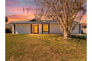 17506 FALLOWFIELD DRIVE, LUTZ, FL 33549 - MLS#MFRTB8480411