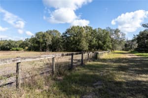 11560 TARPON SPRINGS, ODESSA, FL 33556 - MLS#MFRTB8480455