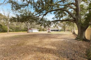 6071 COUNTRY CLUB ROAD, WESLEY CHAPEL, FL 33544 - MLS#MFRTB8480485