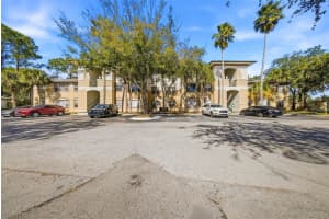 17114 CARRINGTON PARK DRIVE, TAMPA, FL 33647 - MLS#MFRTB8480522