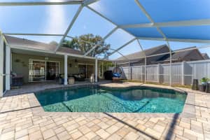 4511 GULFWINDS DRIVE, LUTZ, FL 33558 - MLS#MFRTB8480532