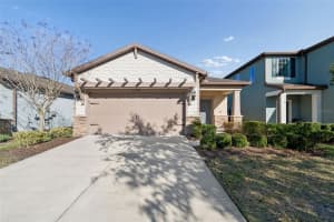 5340 FALLEN LEAF DRIVE, RIVERVIEW, FL 33578 - MLS#MFRTB8480536