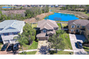 19914 BLUFF OAK BOULEVARD, TAMPA, FL 33647 - MLS#MFRTB8480539