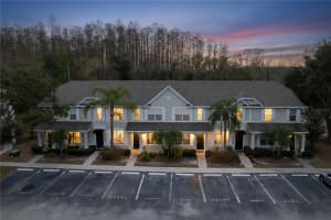 12711 SUNLAND COURT, TAMPA, FL 33625 - MLS#MFRTB8480558