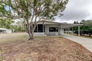 4550 CHARTER STREET, ZEPHYRHILLS, FL 33542 - MLS#MFRTB8480566