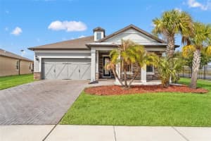 8184 OLIVE BROOK DRIVE, WESLEY CHAPEL, FL 33545 - MLS#MFRTB8480568