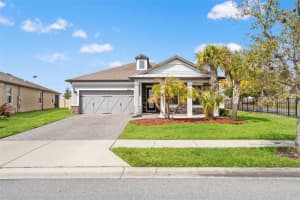 8184 OLIVE BROOK DRIVE, WESLEY CHAPEL, FL 33545 - MLS#MFRTB8480568