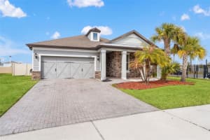 8184 OLIVE BROOK DRIVE, WESLEY CHAPEL, FL 33545 - MLS#MFRTB8480568