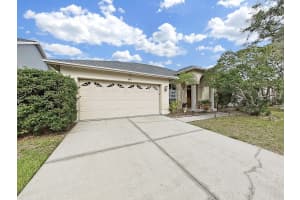 9630 FOX HEARST ROAD, TAMPA, FL 33647 - MLS#MFRTB8480569